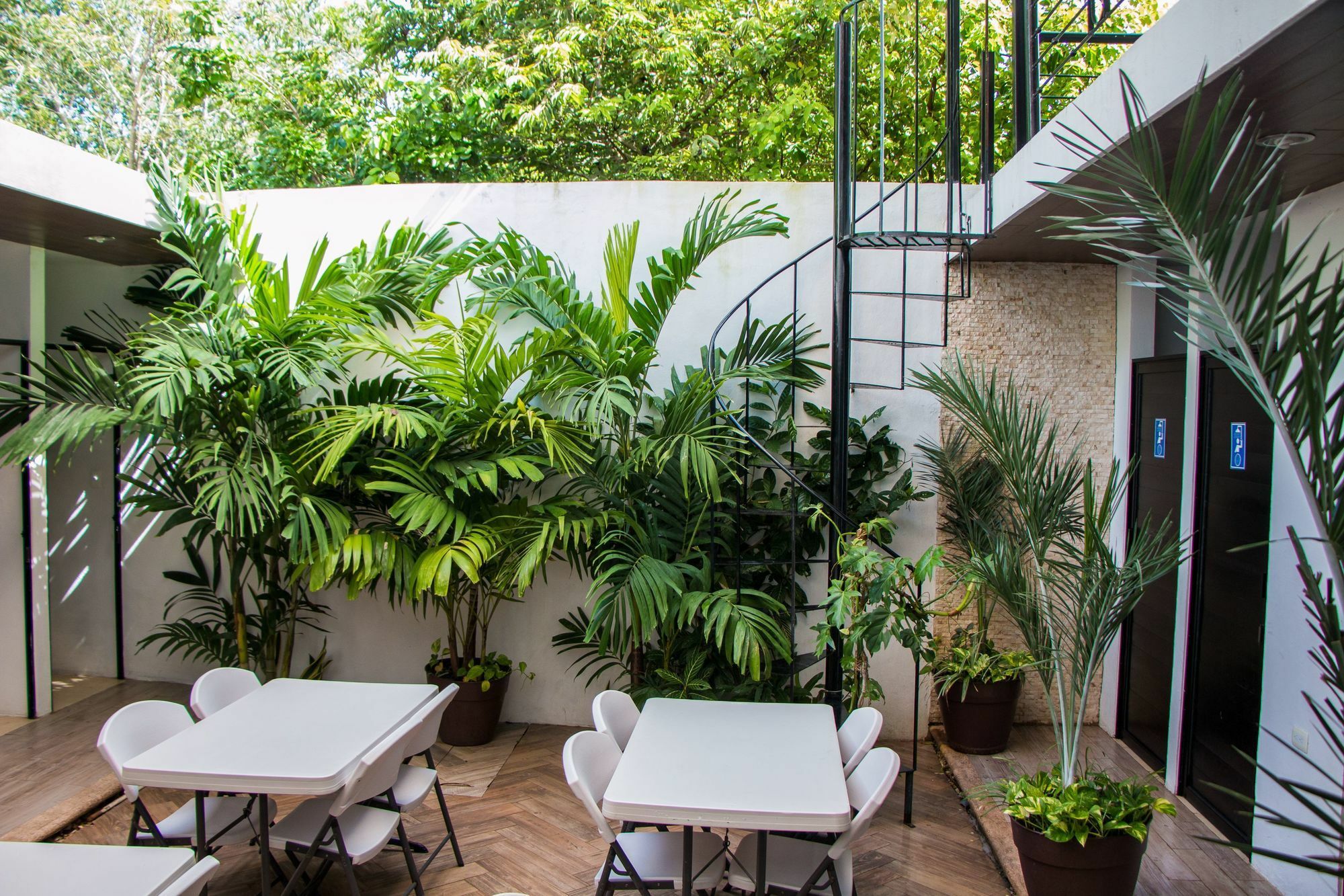 Hostal Gayser Valladolid  Bagian luar foto